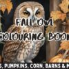 Fall Owl Colouring Book