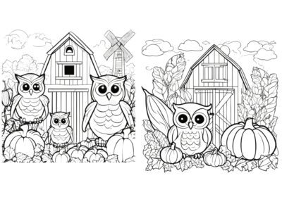 Fall Owl Colouring Book