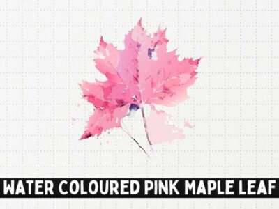 Water Coloured Pink Maple Leaf SVG