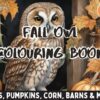 Fall Owl Colouring Book - Full Edition
